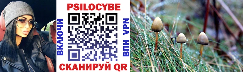 Галлюциногенные грибы Psilocybe  blacksprut ССЫЛКА  Артём 